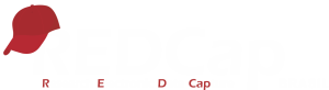 Consórcio REDCap-Brasil